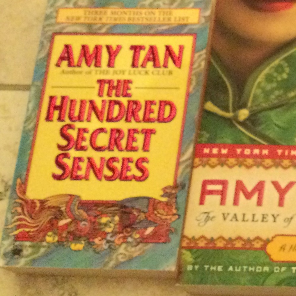 Amy Tan Collection - Picture 12 of 12